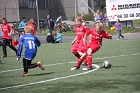 IMG_6915